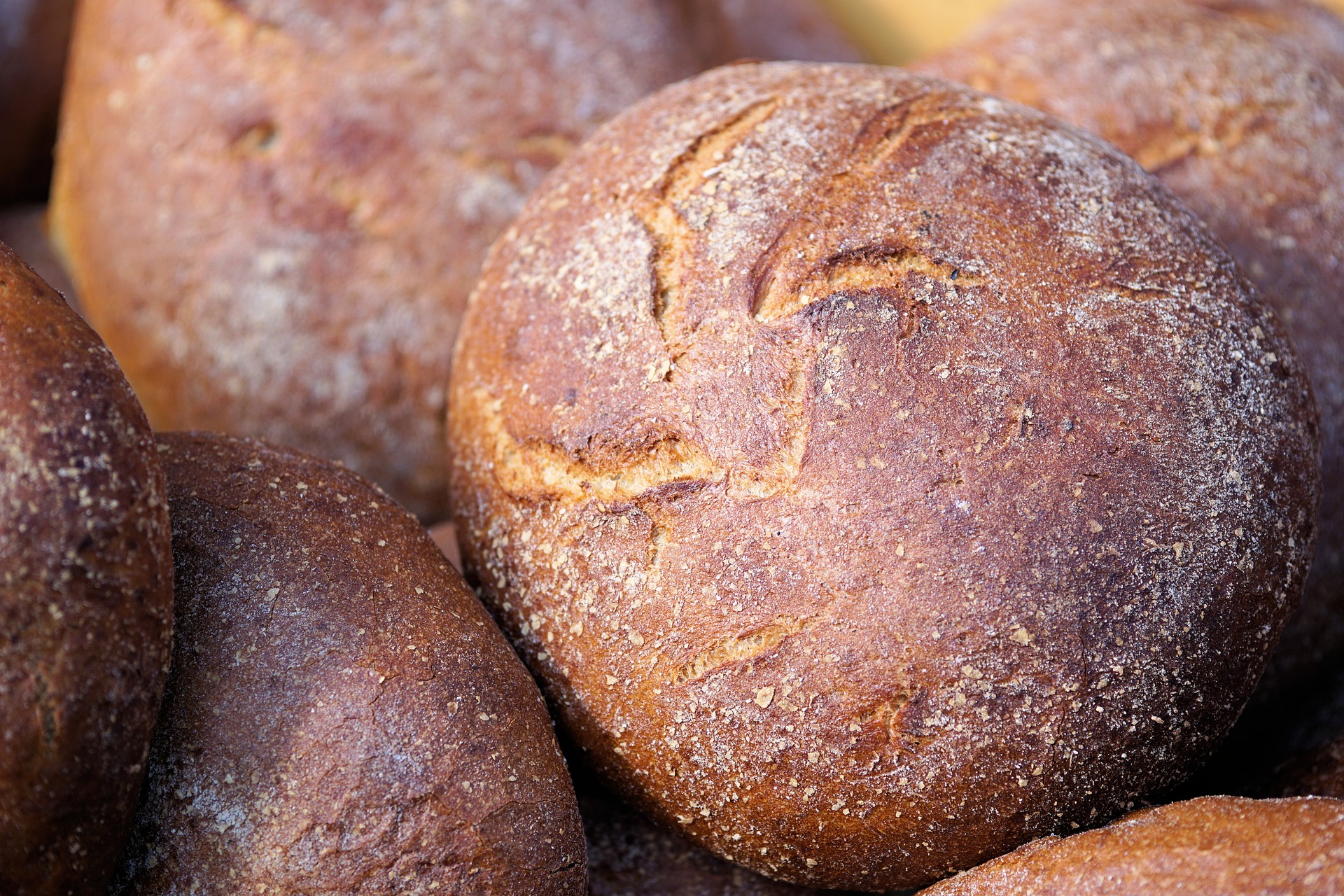 Käse - Brot - Lecker backen